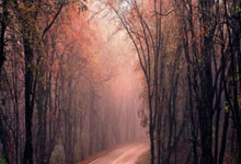 欧博官网：今日金牌+6 中国队两位旗手同步夺金 速滑队11金收官央视新闻客户端.